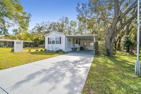 A home in DADE CITY