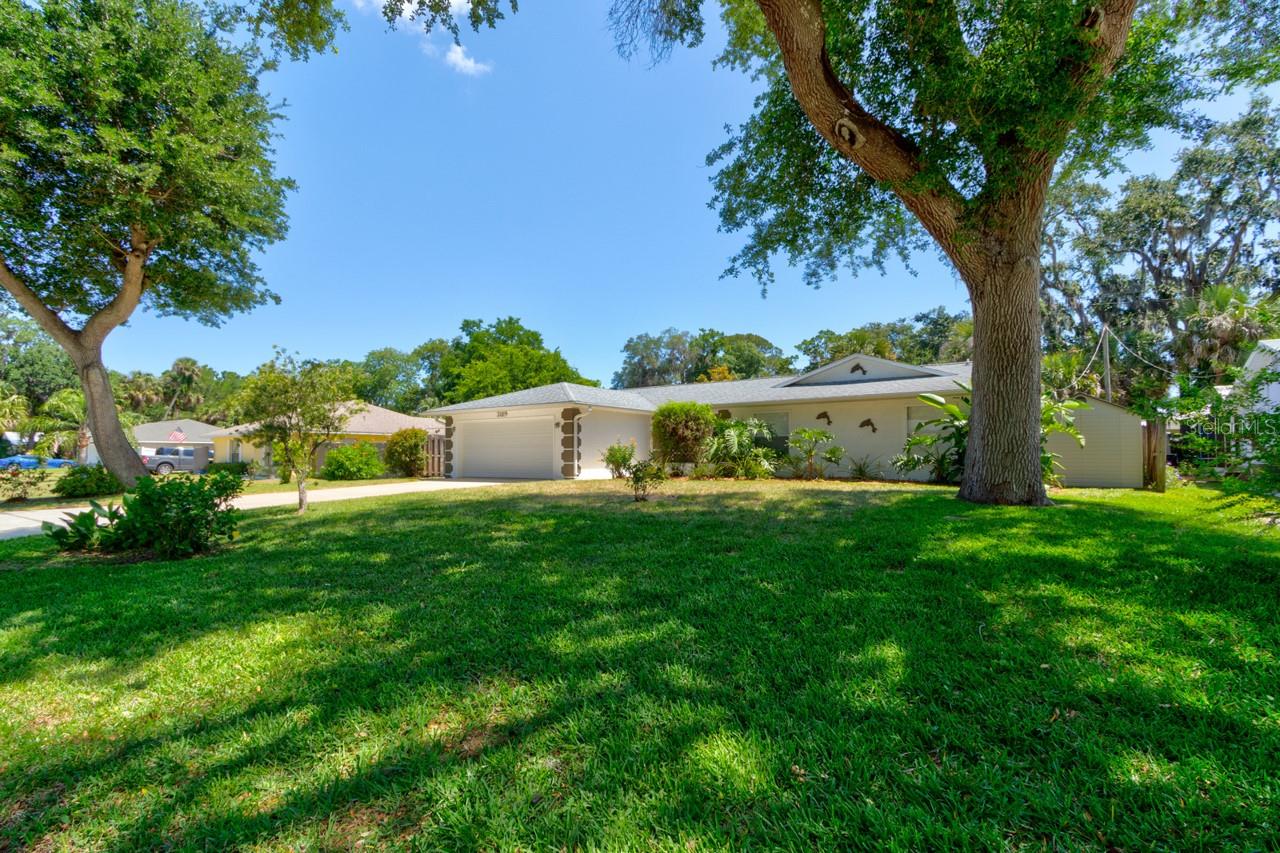 3119 MANGO TREE DRIVE
