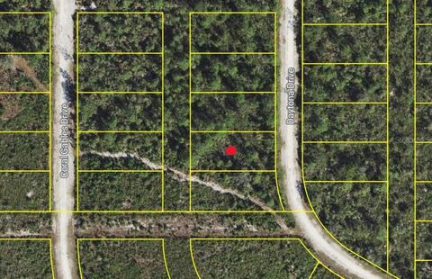 DAYTONA DRIVE INDIAN LAKE ESTATES FL 33855
