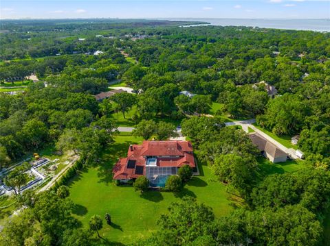 A home in OLDSMAR