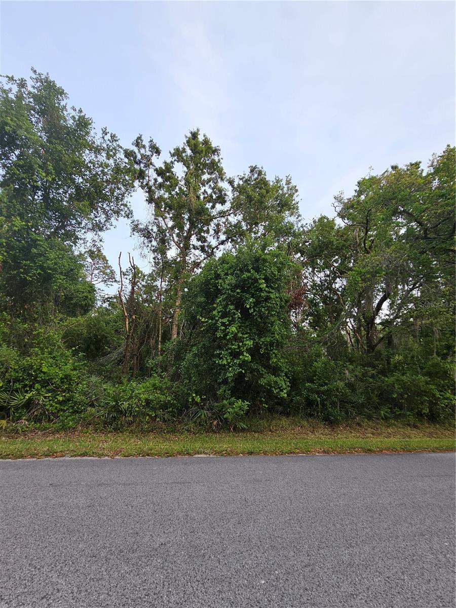 Welcome to your vacant land open canvas property at Moon Lake Estates! This plot of land residential land is available for you to use to build your dream home or to keep as an investment. With AR (agricultural-residential) zoning, this property has even more potential for development! This up and coming neighborhood of Moon Lake Estates boasts quiet roads and an amazing Moon Lake public Park, nestled on Moon Lake. This property is not located in a flood zone, so no flood insurance is required. Return to a quiet, more simple way of life with your new land purchase. The sellers for this plot are also selling multiple other plots of land in Moon Lakes Estates. Please inquire with your real estate agent or with the listing agent for more information. All statements in the listing are believed to be true and reliable by the seller and listing agent. Buyer and buyer's agent should verify all facts, statements, and measurements.