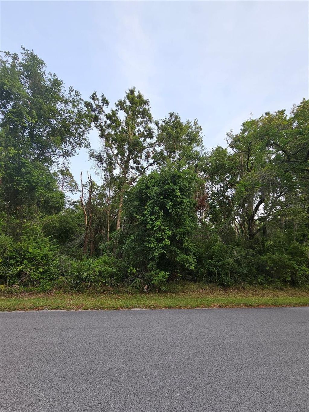 Photo of 00 Gurnee Avenue, New Port Richey, FL 34654 (MLS # TB8383089)