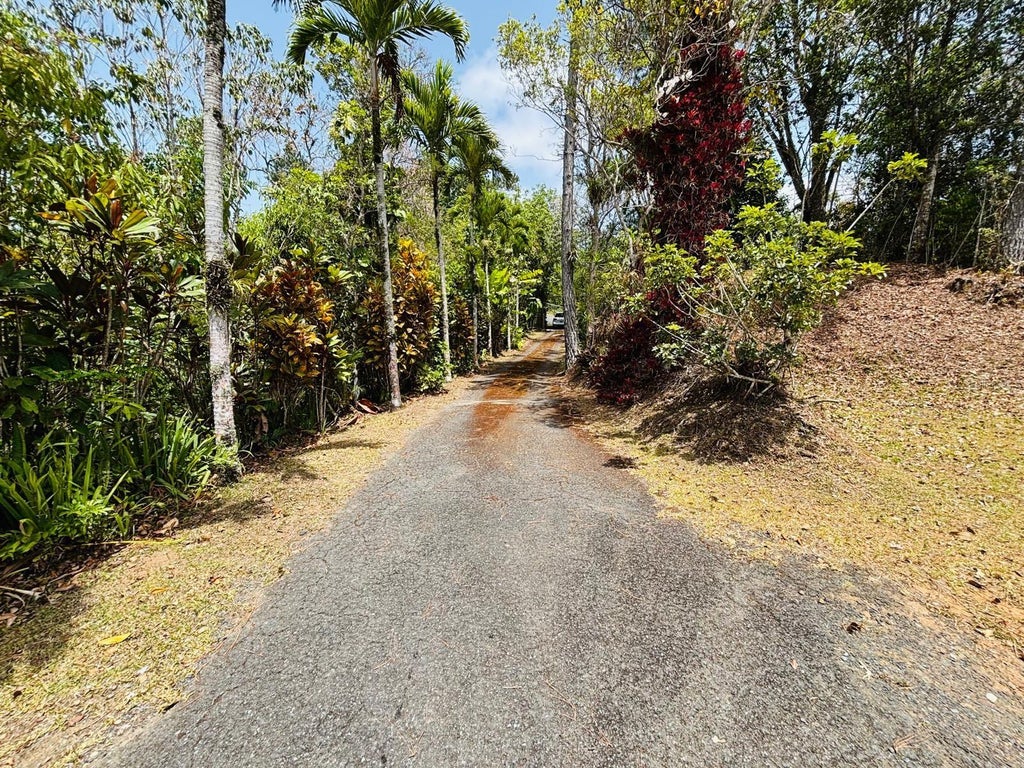 Photo of 1 Ruta 715km 3.5 Lote 3, Cayey, PR 00736 (MLS # PR9123290)