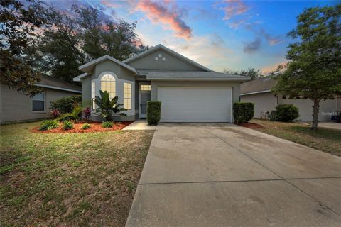 33441 IRONGATE DRIVE LEESBURG FL 34788