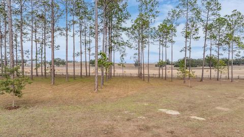 A home in DADE CITY