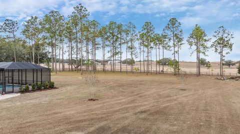 A home in DADE CITY