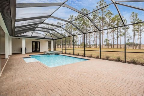 A home in DADE CITY