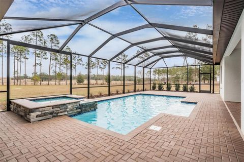 A home in DADE CITY