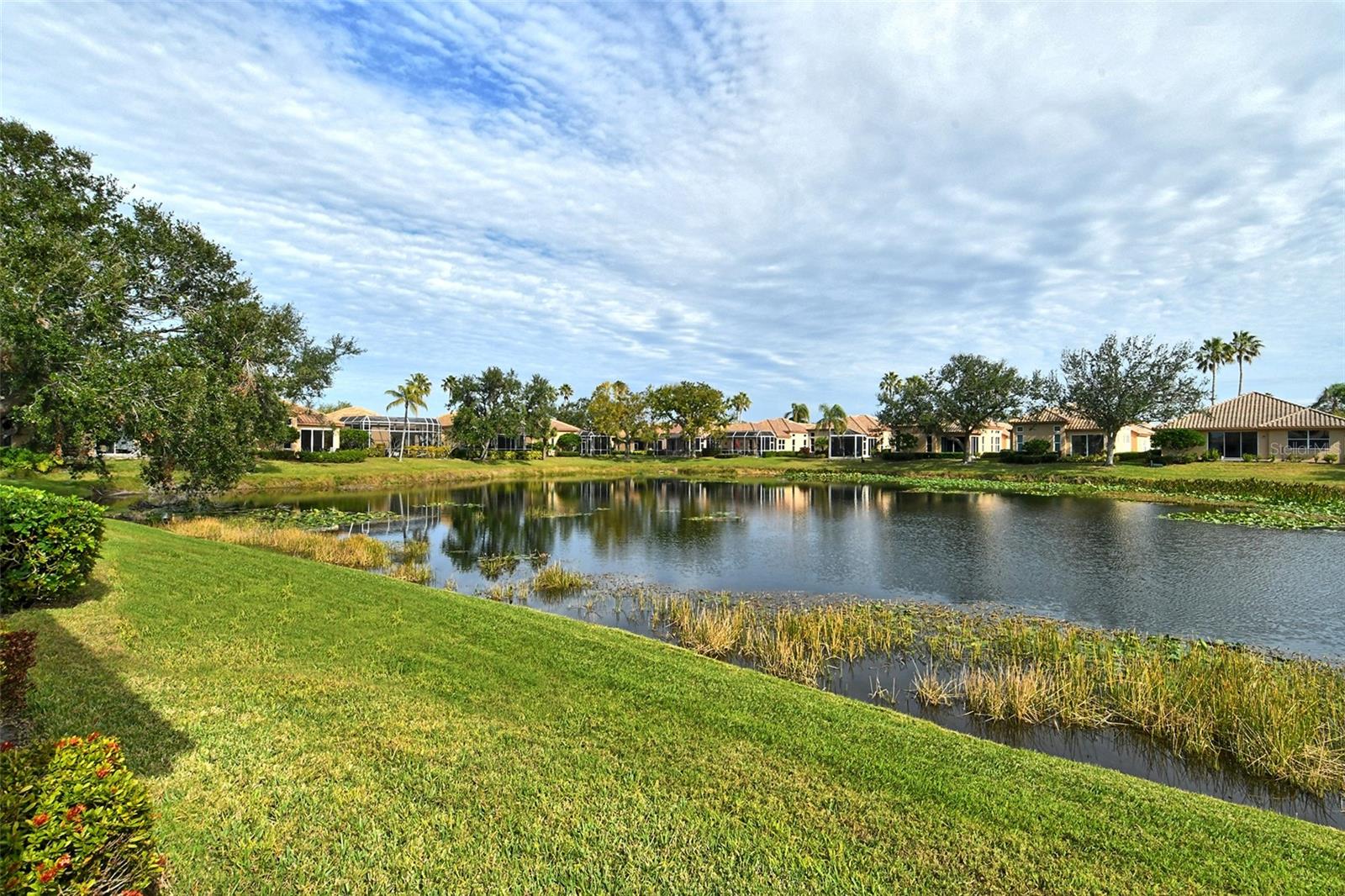 PALISADES AT PALMER RANCH - Residential