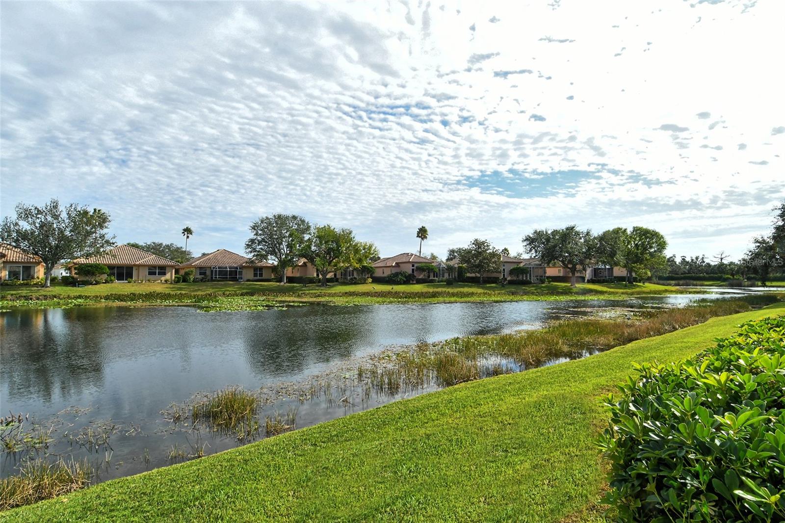 PALISADES AT PALMER RANCH - Residential