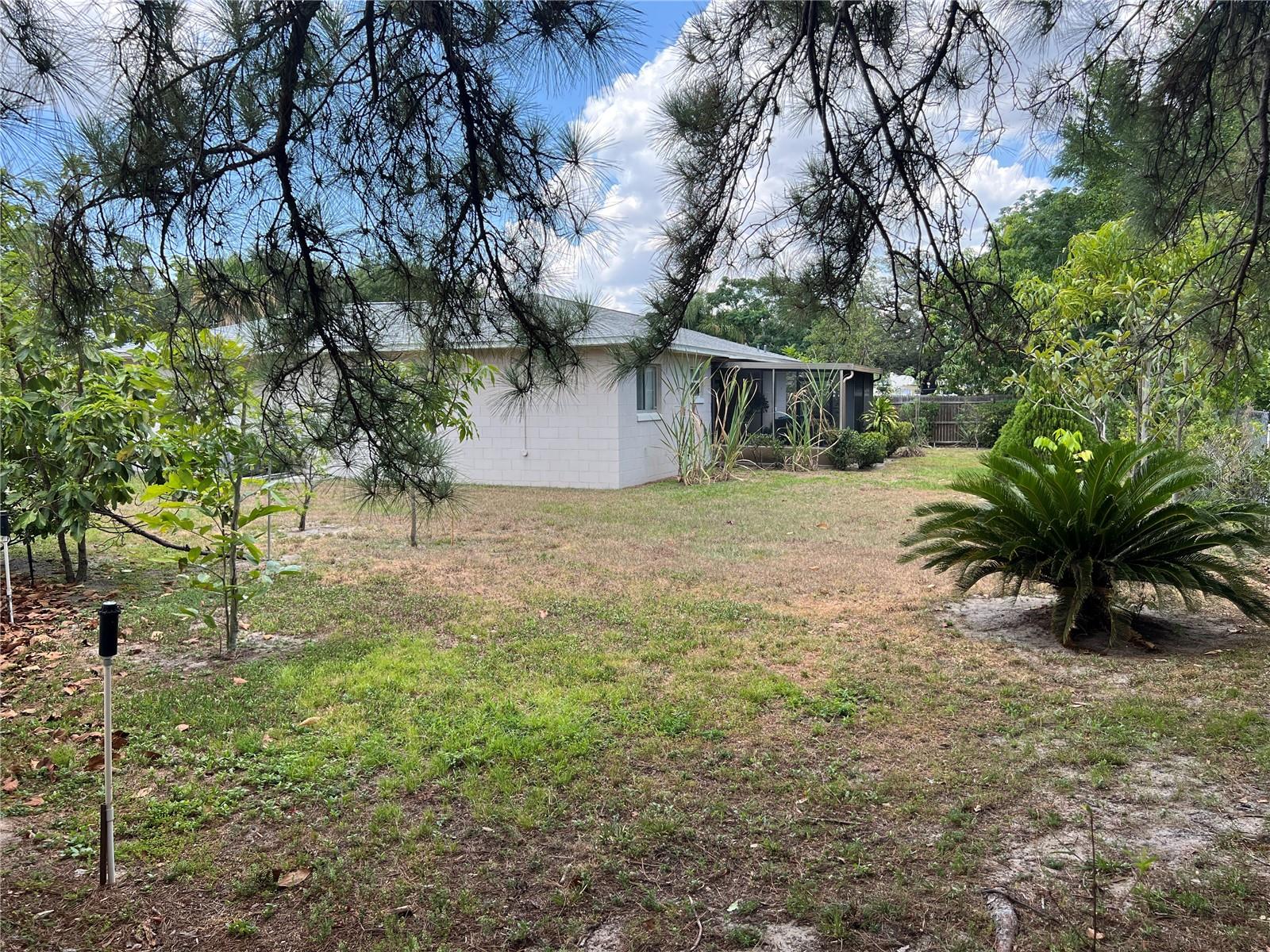 Photo 11 of 42 of 1753 TALLO WAY house