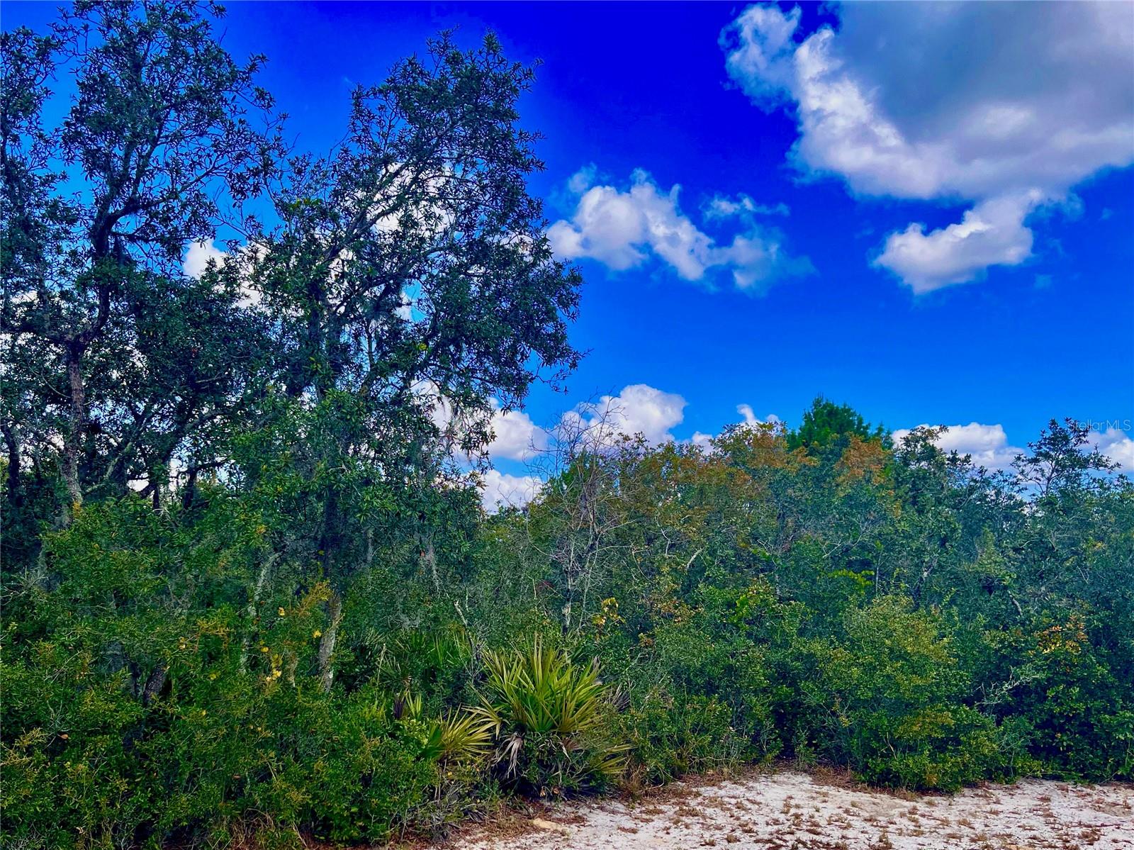 LAKE REEDY ESTATES - Land