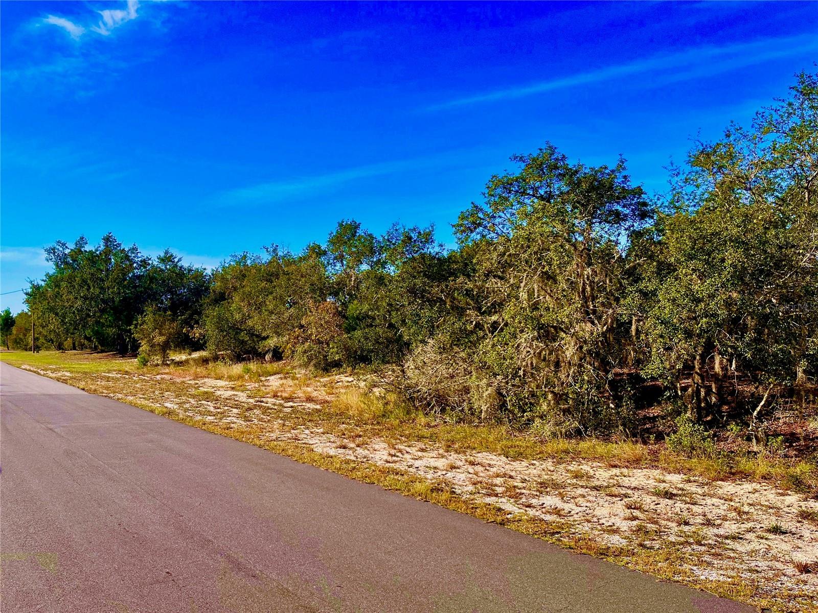 LAKE REEDY ESTATES - Land