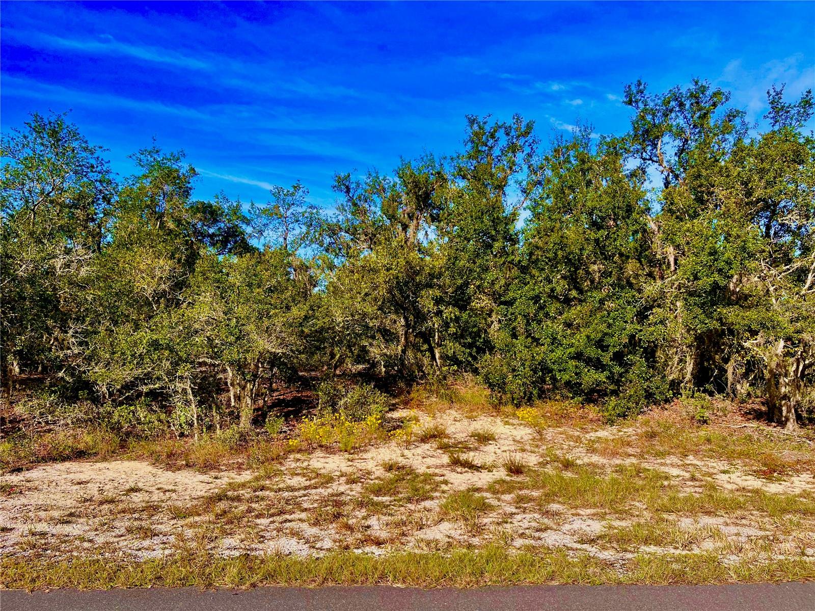 LAKE REEDY ESTATES - Land