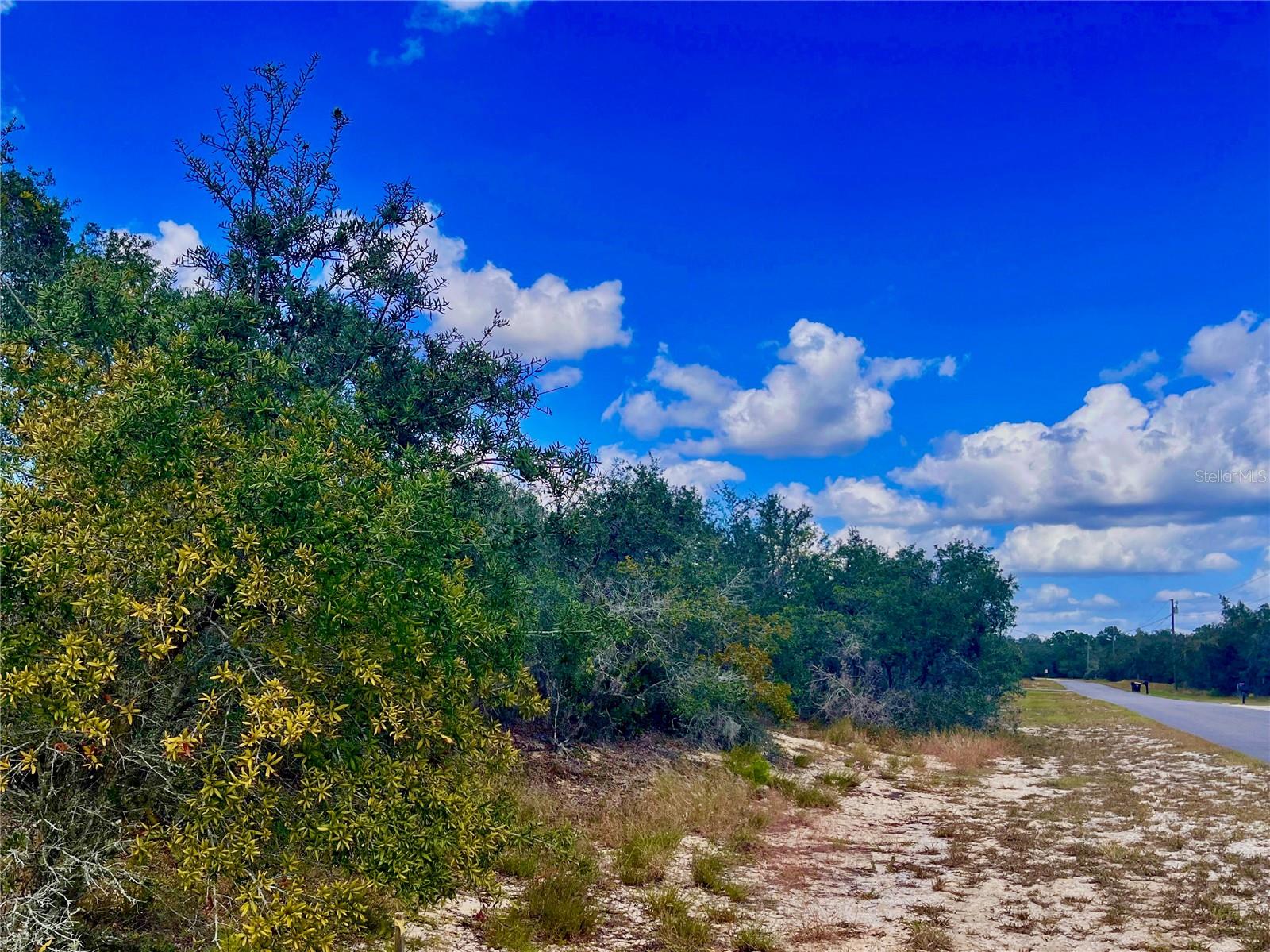 LAKE REEDY ESTATES - Land