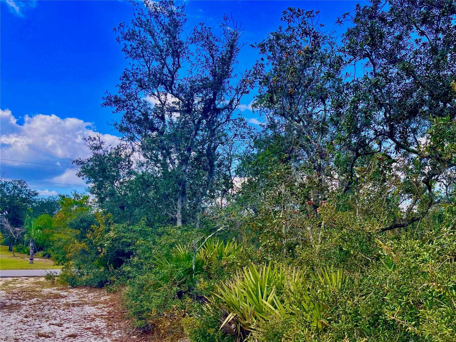 LAKE REEDY ESTATES - Land