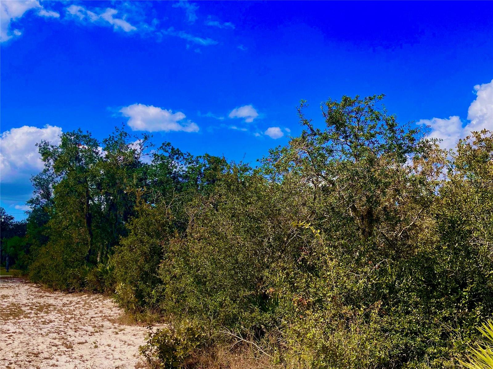 LAKE REEDY ESTATES - Land