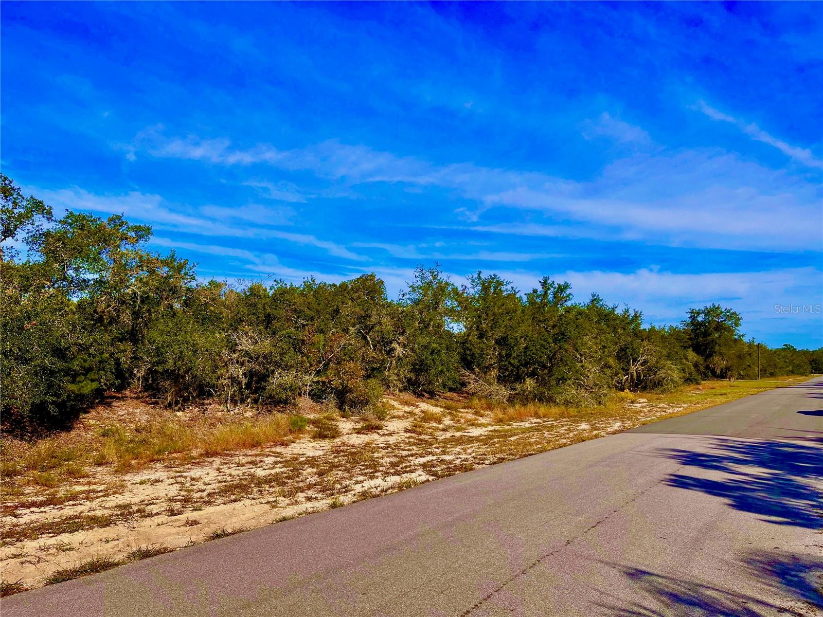 LAKE REEDY ESTATES - Land