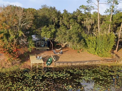 23422 NE 154TH PLACE ROAD SALT SPRINGS FL 32134