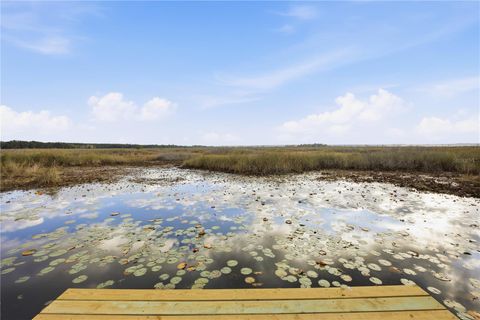 Photo of 23422 NE 154th Place Road, Salt Springs, FL 32134 (MLS # OM715992)