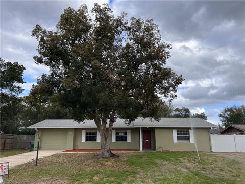 A home in DELTONA