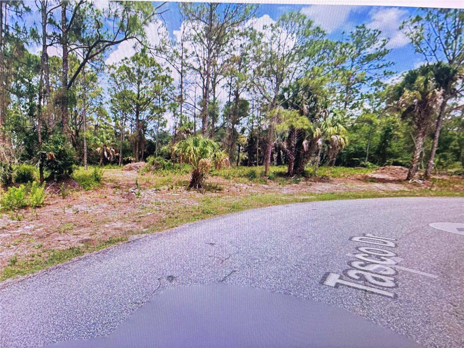TASCO LOTS 2,3, & 4 DRIVE, NORTH PORT, FL, 34291 1 TASCO LOTS 2,3, & 4 DRIVE
