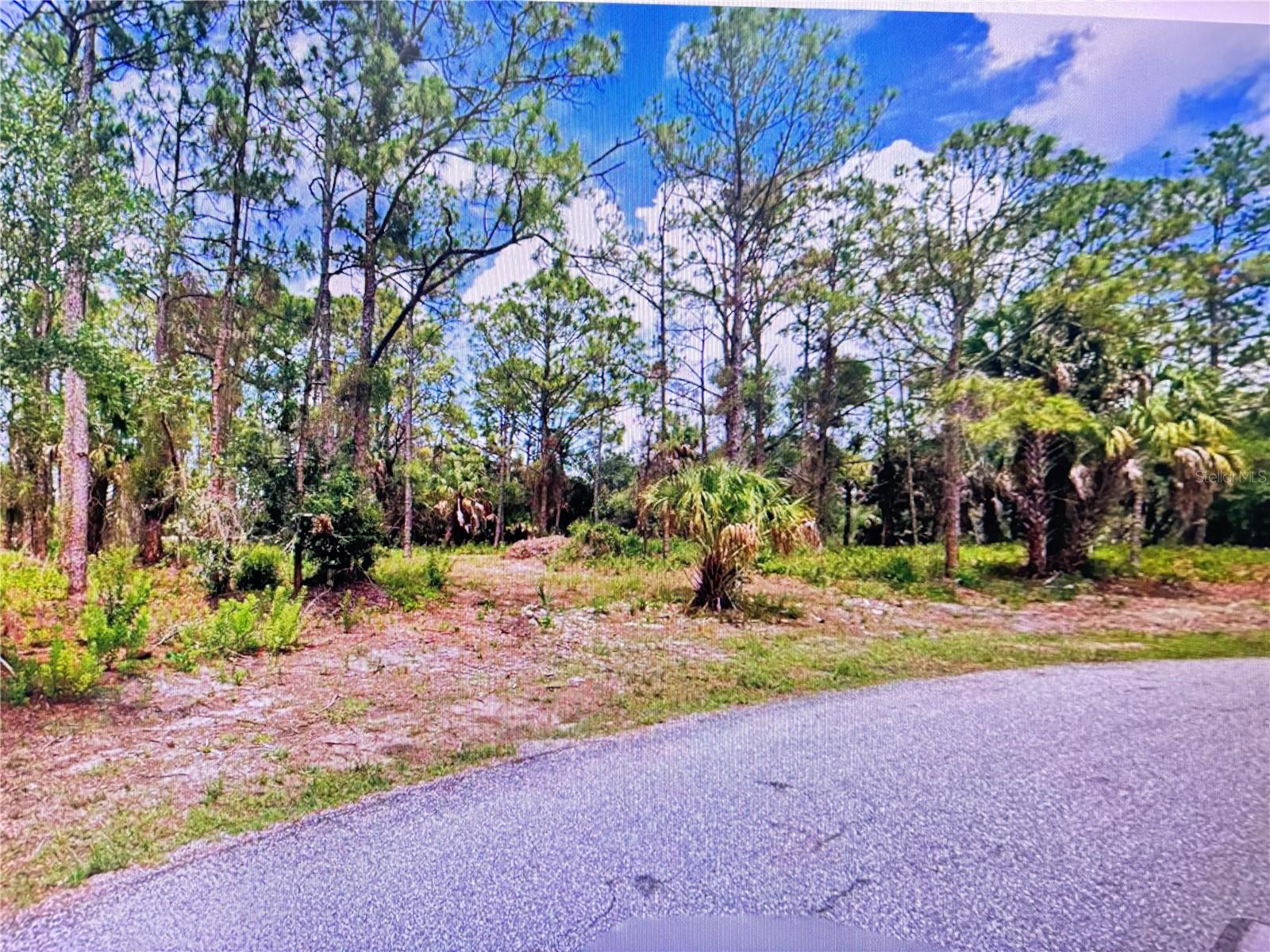 TASCO LOTS 2,3, & 4 DRIVE, NORTH PORT, FL, 34291 2 TASCO LOTS 2,3, & 4 DRIVE