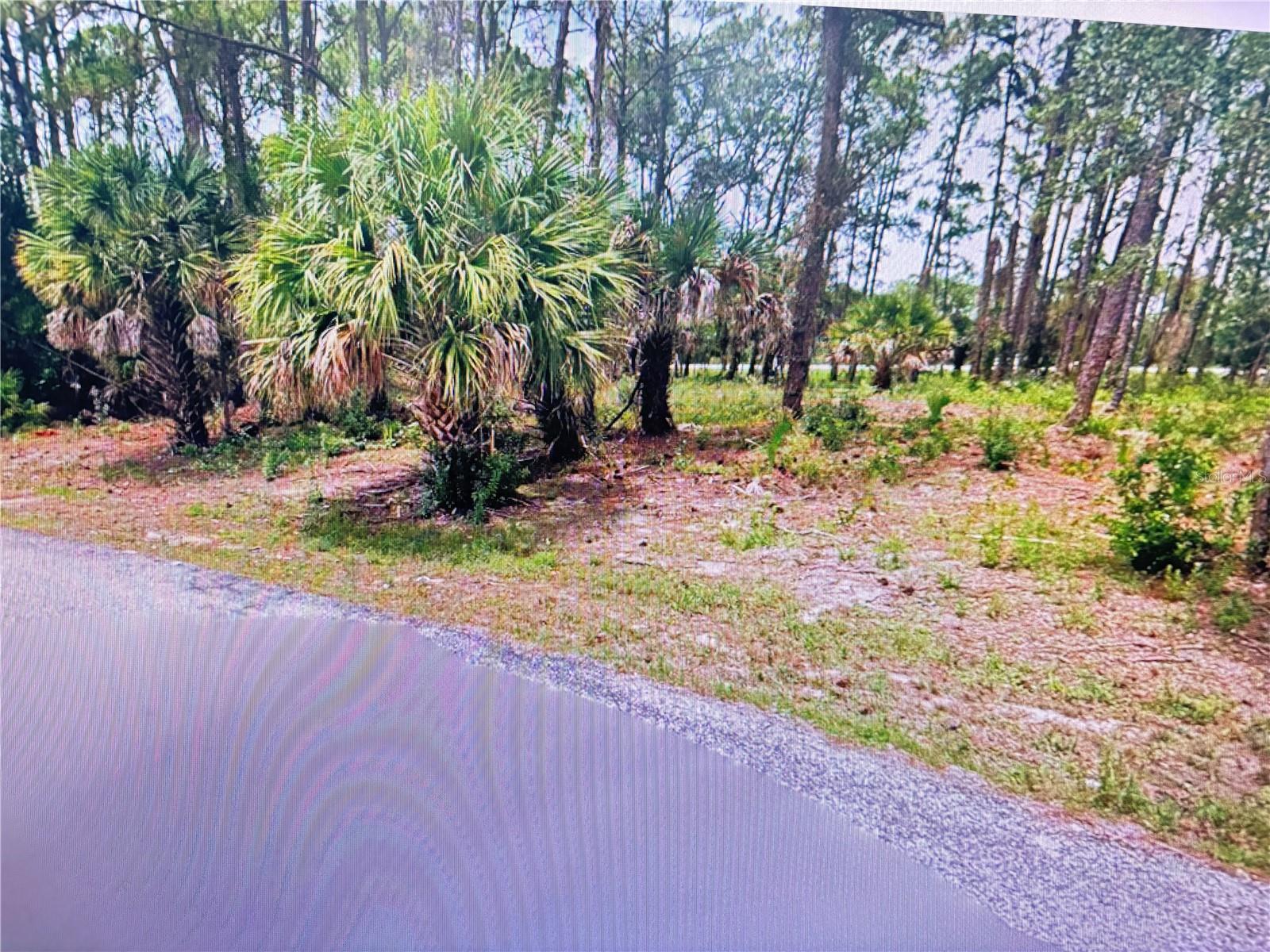 TASCO LOTS 2,3, & 4 DRIVE, NORTH PORT, FL, 34291 3 TASCO LOTS 2,3, & 4 DRIVE