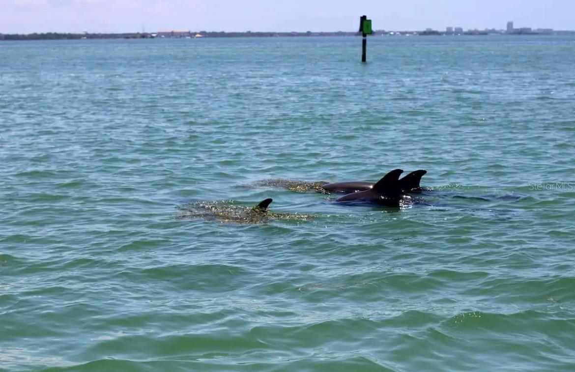 ROYAL STEWART ARMS - Residential