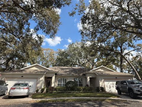 8633 ALEXANDRA ARBOR LANE TEMPLE TERRACE FL 33637