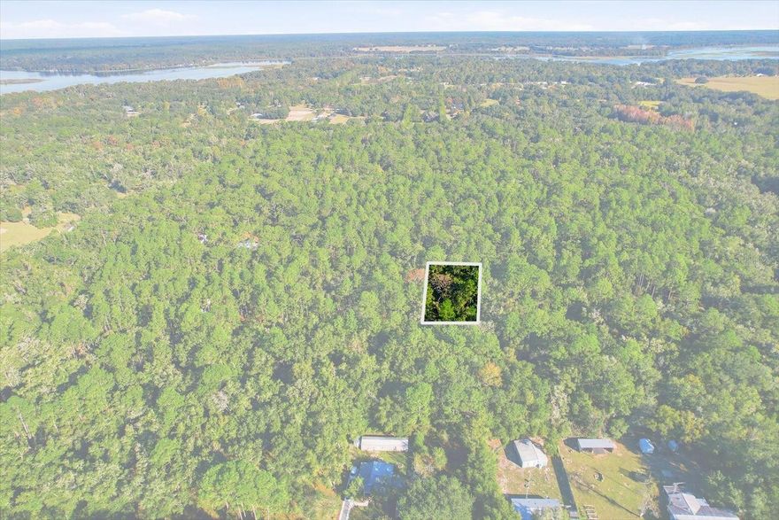 Build your dream home on this .24-acre lot in peaceful Dunnellon. Located near Rainbow Springs State Park and the Withlacoochee River, you’ll enjoy easy access to outdoor recreation, shopping, and dining. No HOA or deed restrictions—just quiet country living with convenient access to US-41 and SR-40.