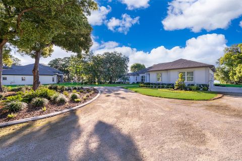 A home in MOUNT DORA