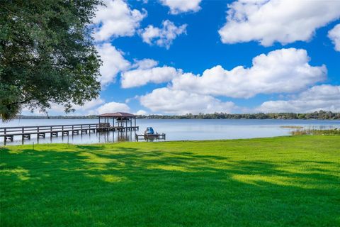 A home in MOUNT DORA