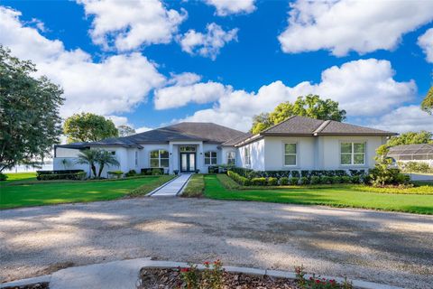 A home in MOUNT DORA