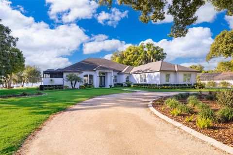 A home in MOUNT DORA