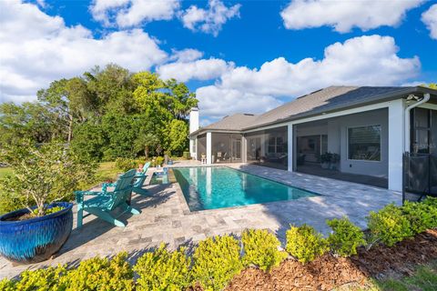 A home in MOUNT DORA