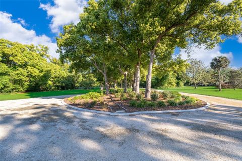 A home in MOUNT DORA