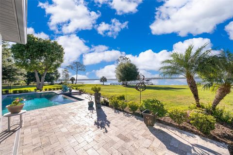 A home in MOUNT DORA