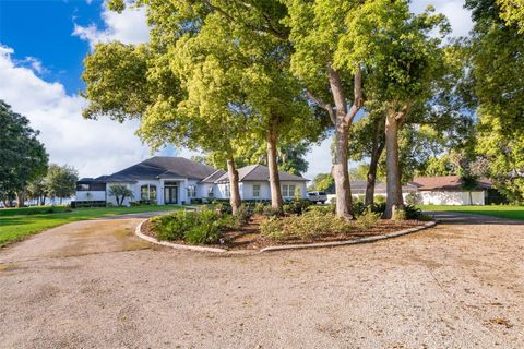 A home in MOUNT DORA