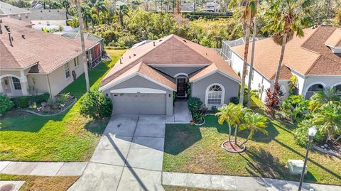 A home in TAMPA