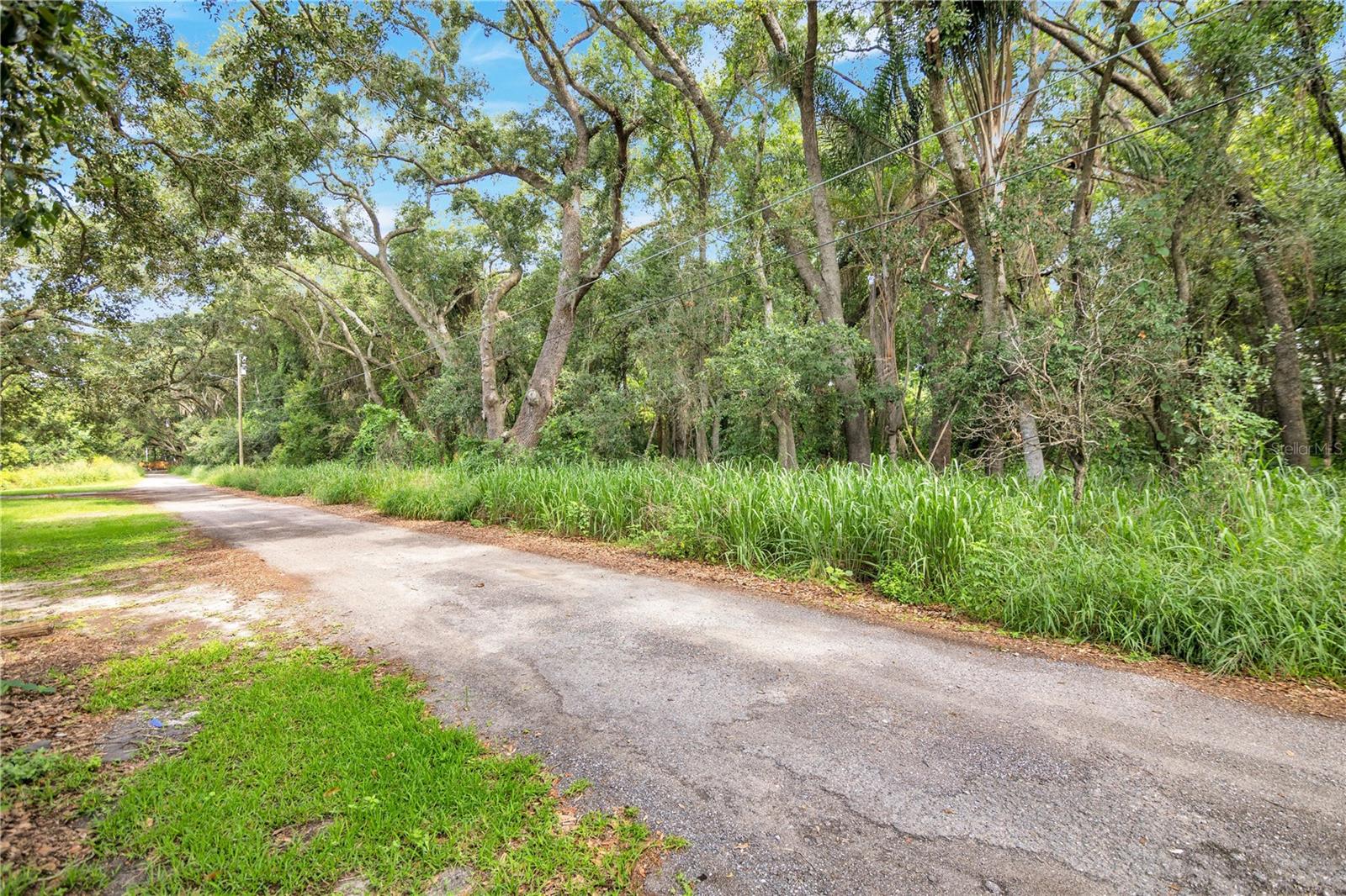 AVALON ROAD 53