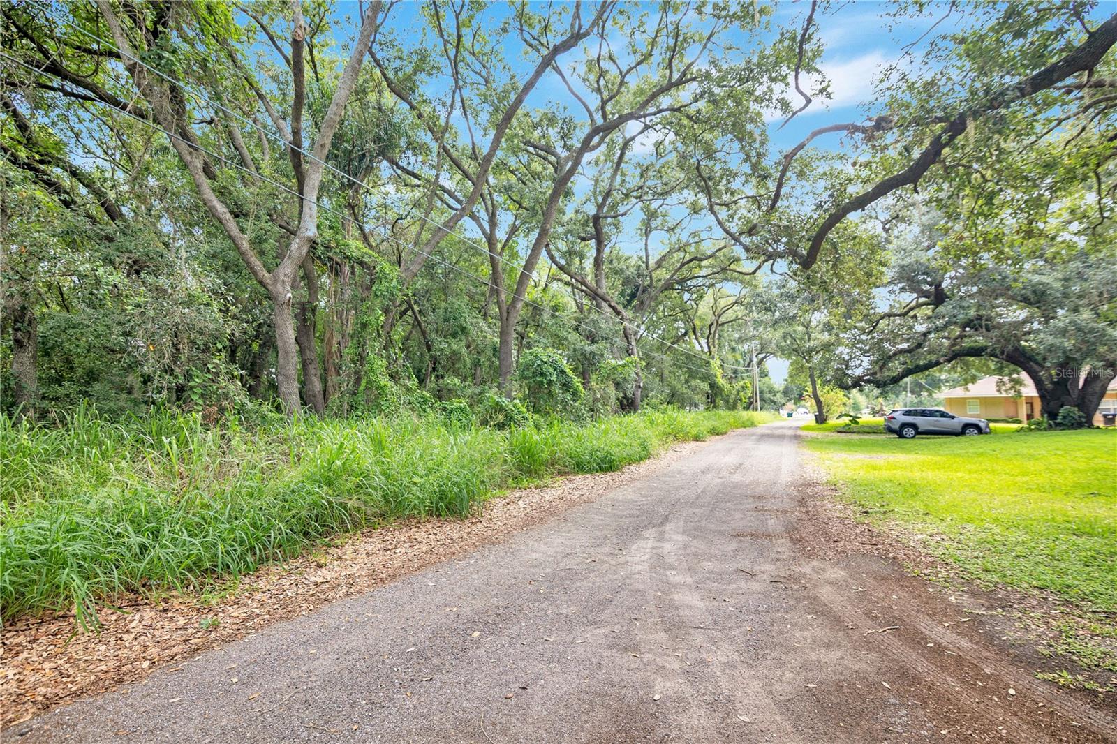AVALON ROAD 53