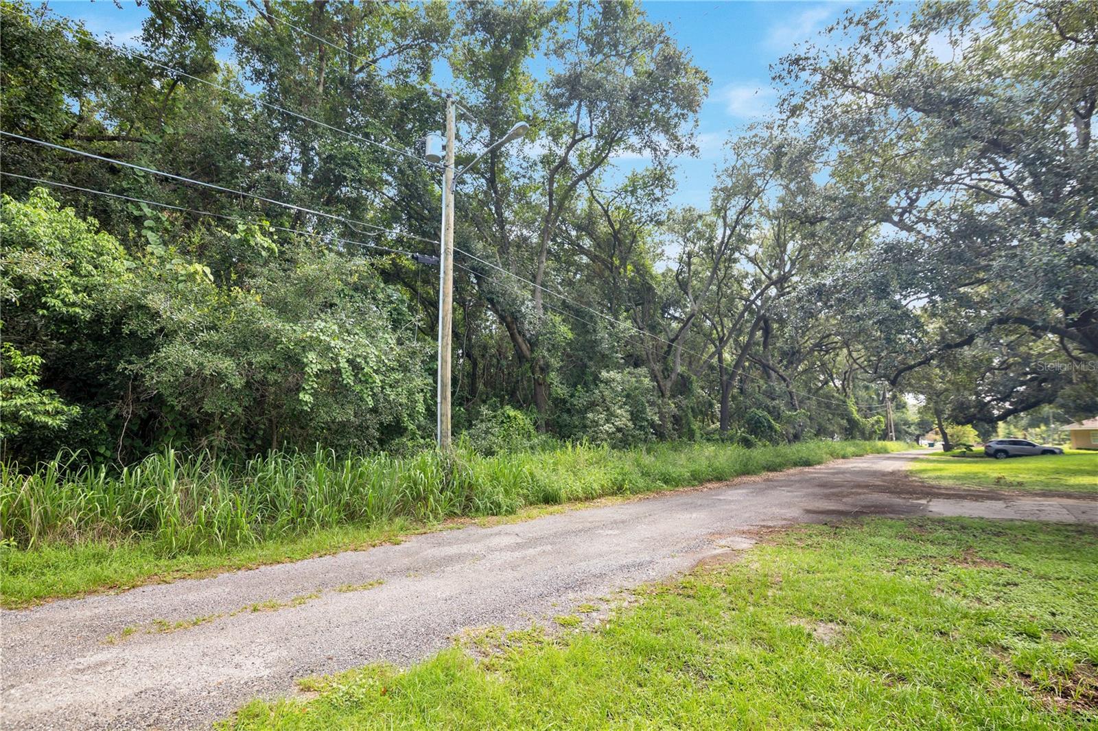 AVALON ROAD 53