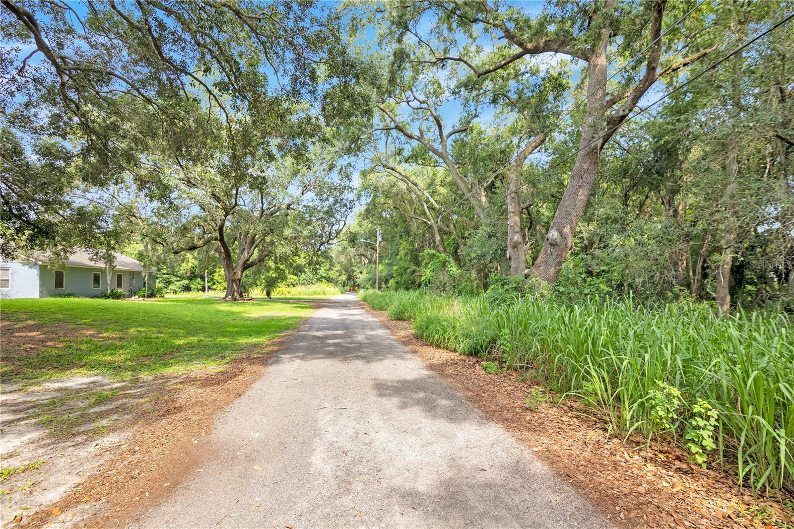 AVALON ROAD 53