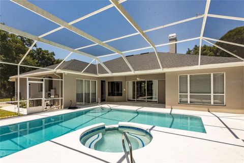 A home in FLAGLER BEACH