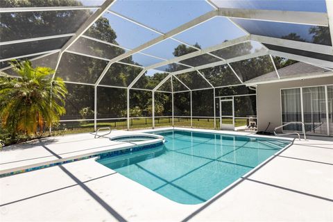 A home in FLAGLER BEACH