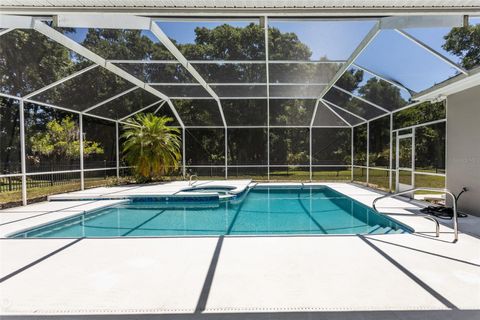 A home in FLAGLER BEACH