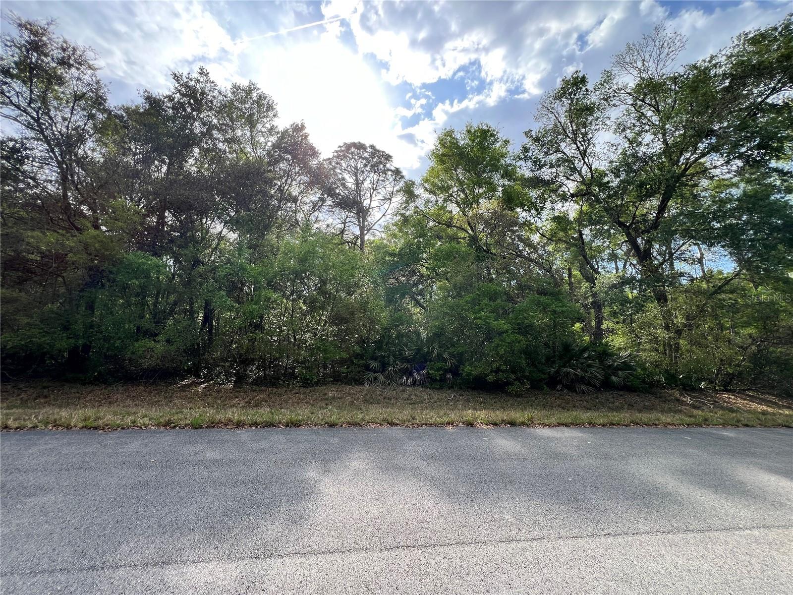 BUCK BAY PH 3 - Land