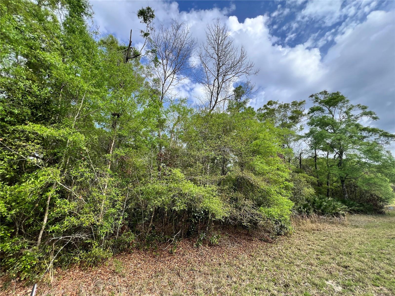 BUCK BAY PH 3 - Land