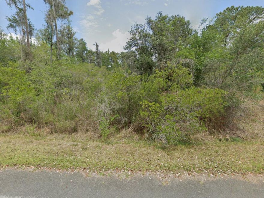 Build your dream in beautiful Crystal River! This 1.26-acre vacant lot offers the perfect blend of space, privacy, and Florida charm. Tucked away in a peaceful area, you'll have plenty of room to design the home you've been dreaming of, plus space for a workshop, garden, RV, or boat storage. Enjoy the relaxed Crystal River lifestyle with nearby springs, boating, fishing, kayaking, and manatee encounters, all while still being close to shopping, dining, and everyday conveniences. Whether you're looking to build now or invest for the future, this property gives you the flexibility and freedom that larger parcels are hard to find. Come create your own slice of Florida living on 1.26 acres in Crystal River.